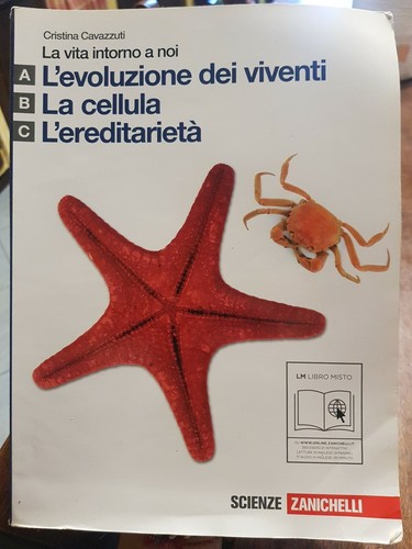 Vita intorno noi vol - intorno,
