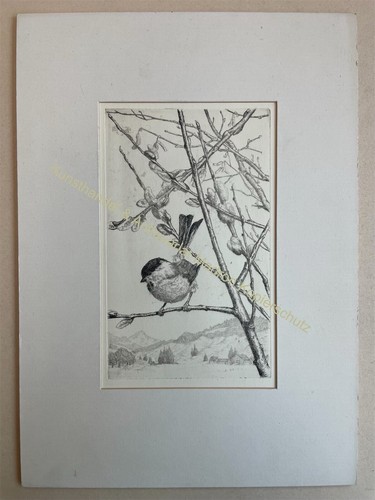 Orig acquaforte ernst maria - orig.,